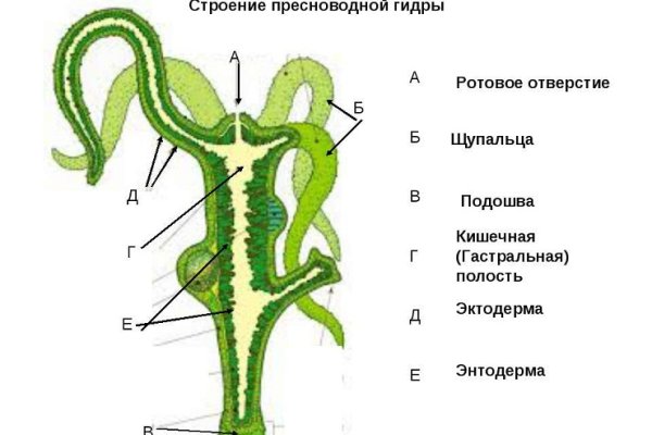 Рабочий кракен